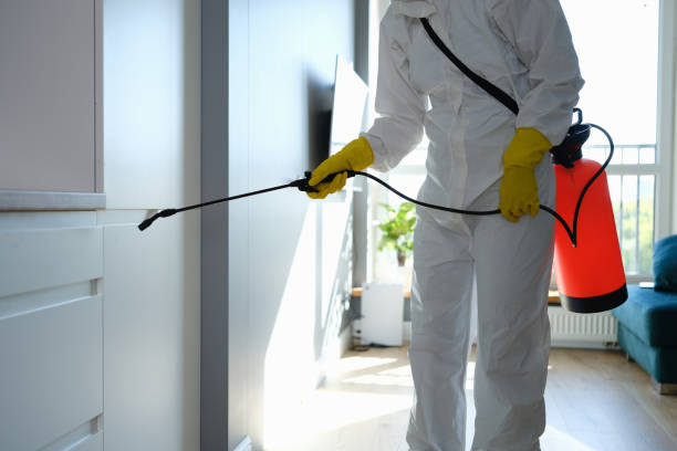 Best Emergency Mold Removal  in Abingdon, IL