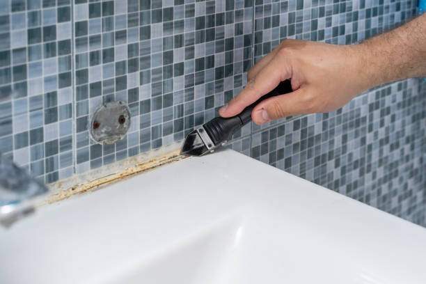 Best Best Mold Removal Companies  in Abingdon, IL
